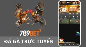 Các loại kèo cược đá gà tại nhà cái 789BET